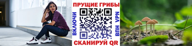 kraken онион  Ясный  Псилоцибиновые грибы Cubensis 
